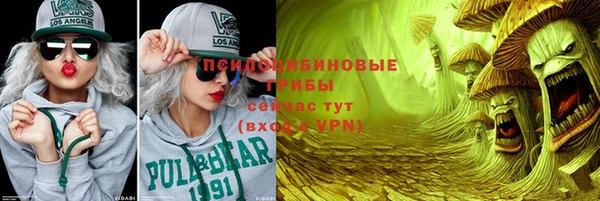 прущая мука Новодвинск