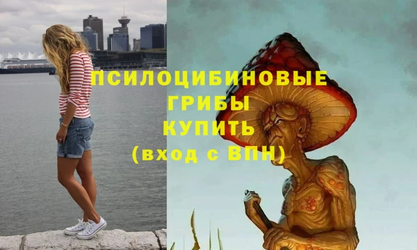 эйфоретик Новозыбков