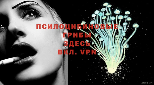 прущая мука Новодвинск
