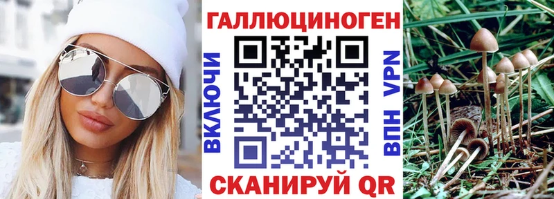 blacksprut как зайти Североморск Галлюциногенные грибы мухоморы