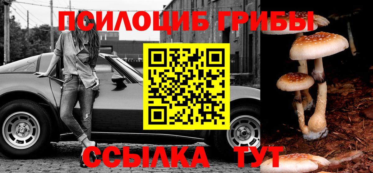 Псилоцибиновые грибы GOLDEN TEACHER  Вход с VPN  Галлюциногенные грибы Psilocybe  Североморск 
