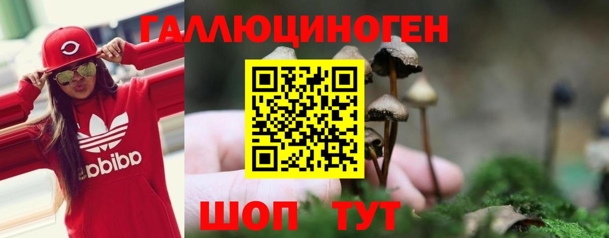 Конопля Североморск